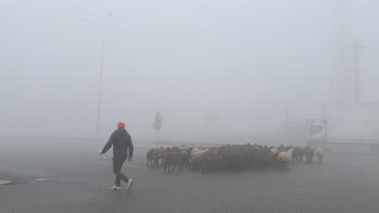 Iğdır siste kayboldu