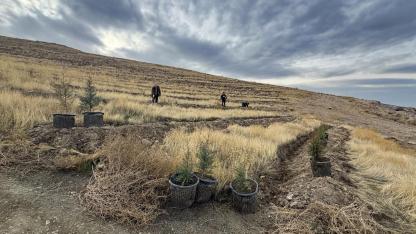 Iğdır'da hava kirliliğine karşı ağaçlandırma seferberliği