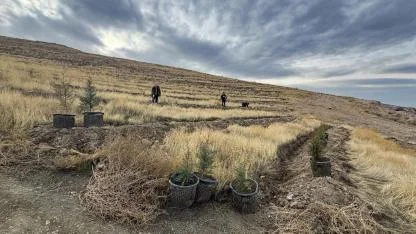 Iğdır'da hava kirliliğine karşı ağaçlandırma seferberliği