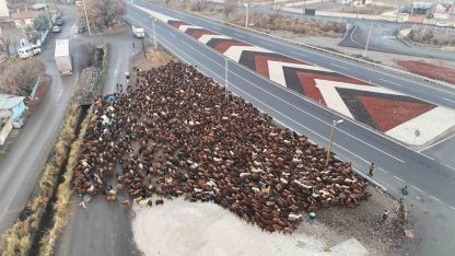 Iğdırlı göçerler, zorlu yolculuğun ardından Iğdır’a ulaştı