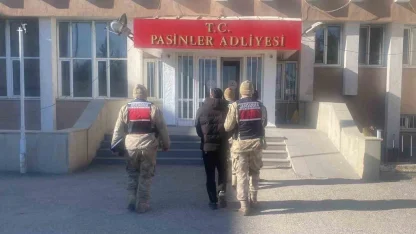 Jandarma büyükbaş hayvan hırsızlarını kısa sürede yakaladı