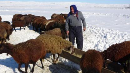 Kar altında besicilerin zorlu mesaisi