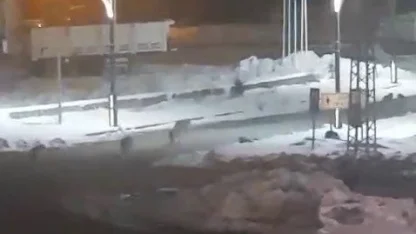 Sürü halinde dolaşan kurtlar ilçelileri tedirgin etti