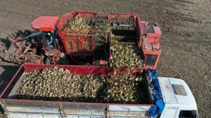 Kars'ta pancar alım kampanyası tamamlandı