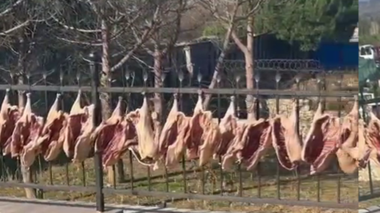 Kazlar, kaz gecelerine hazırlanıyor