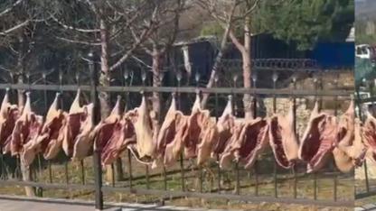 Kazlar, kaz gecelerine hazırlanıyor