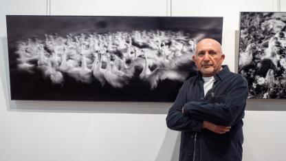 "Kazların Senfonisi" fotoğraf sergisi sanatseverlerle buluştu