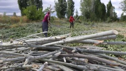 Kışlık yakacak mesaisi sürüyor