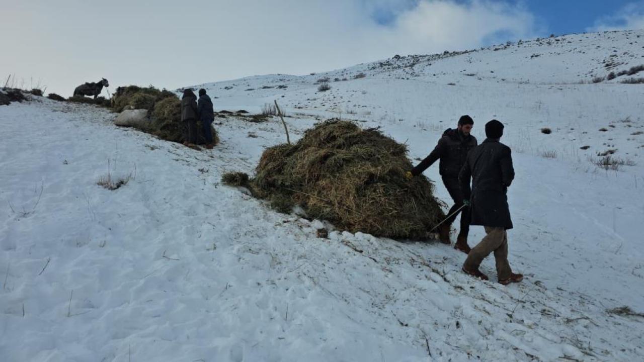 Köy halkı asırlardır kızakla ot taşıyor