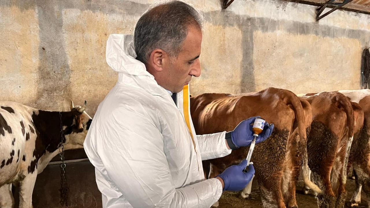 Müdür Aydın, aşılama çalışmalarına katıldı