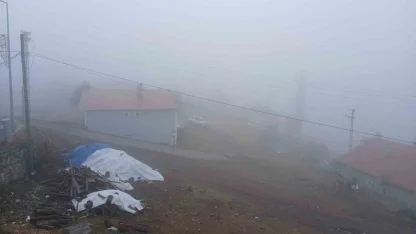 Posof’ta yoğun sis etkiliyor oluyor