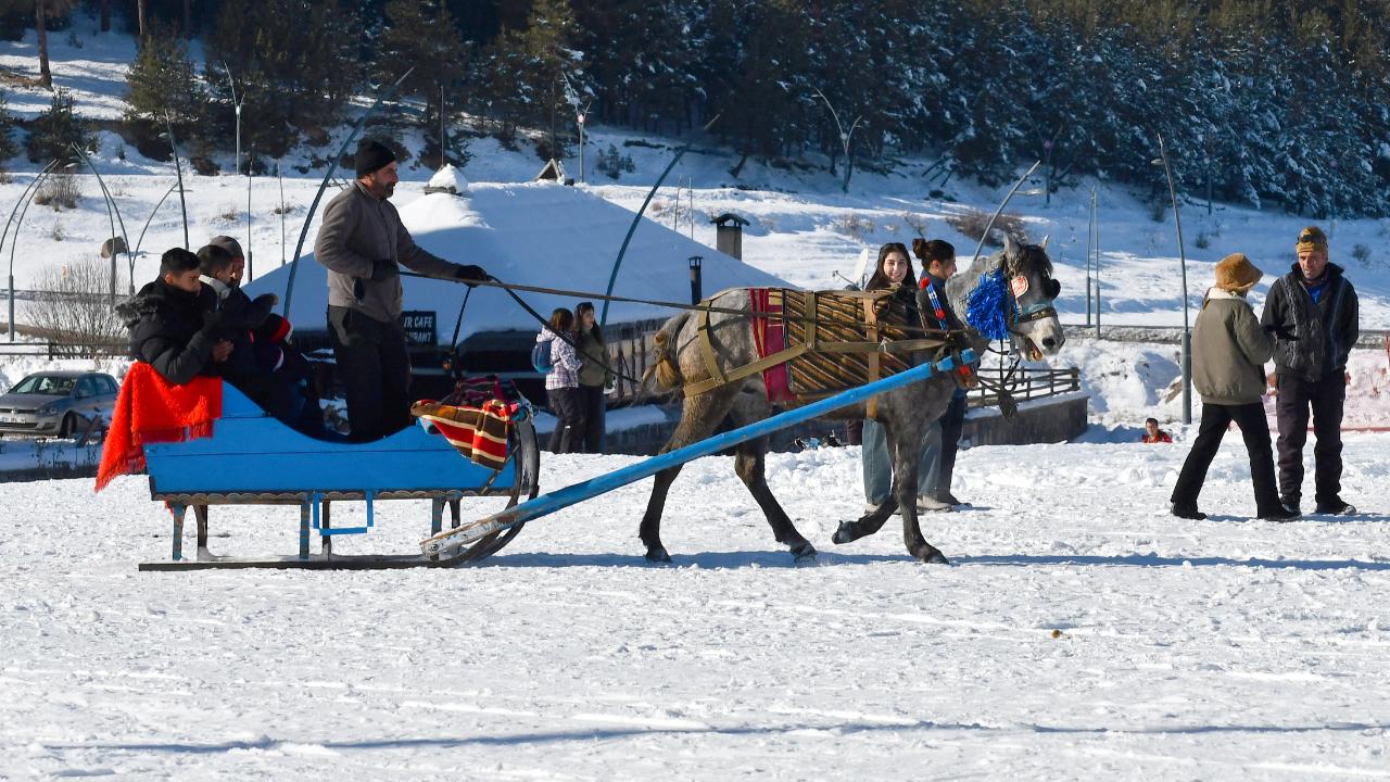 Sarıkamış'ta atlı kızakçılar işbaşı yaptı