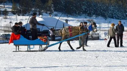 Sarıkamış'ta atlı kızakçılar işbaşı yaptı