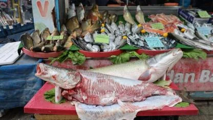 Soğuk hava balığa olan rağbeti arttırdı