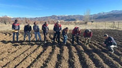 Tunceli Sarımsağı Yaygınlaşıyor