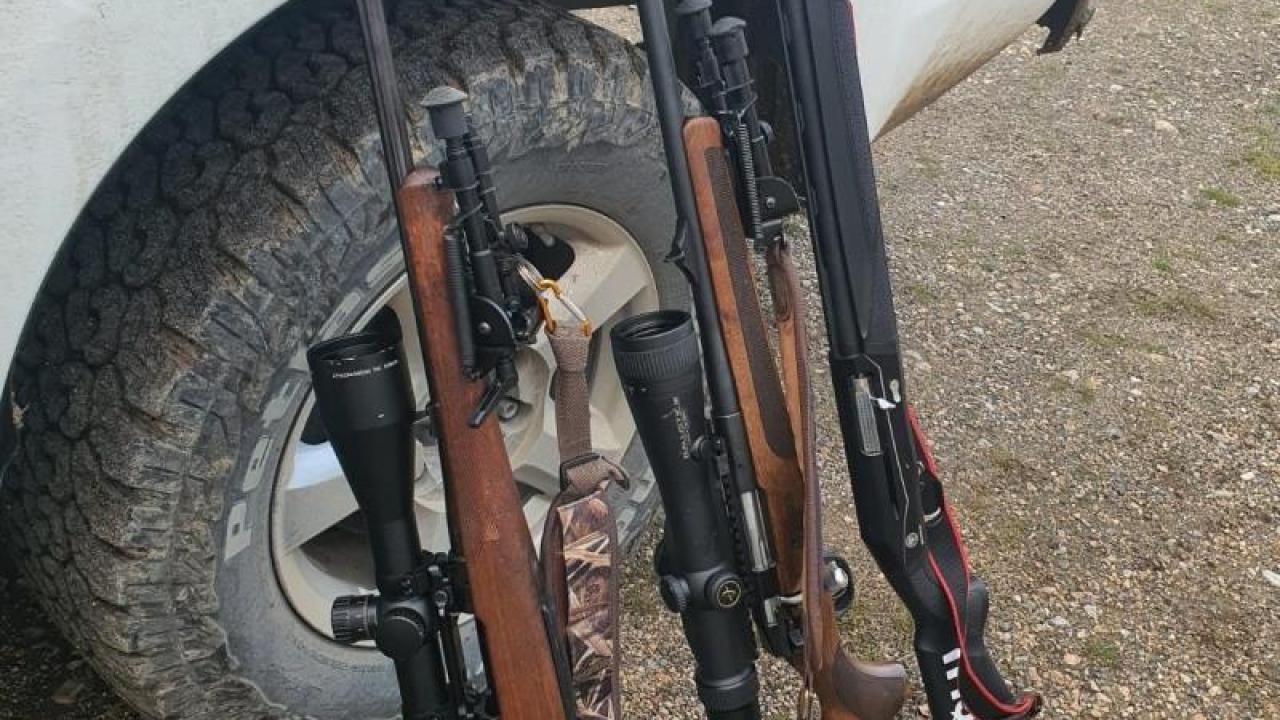 Yaban keçisi vuran şahıslara 970 bin 827 TL ceza kesildi