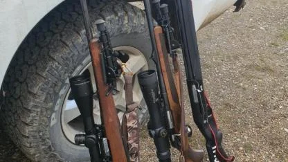 Yaban keçisi vuran şahıslara 970 bin 827 TL ceza kesildi