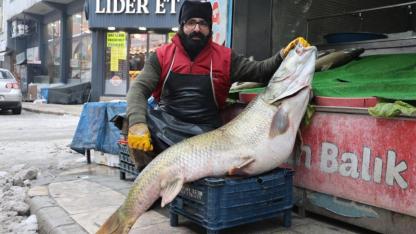 78 kiloluk dev turna balığı tezgahın gözdesi oldu