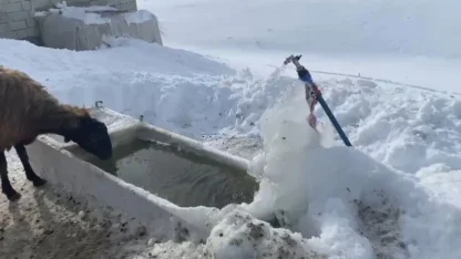 Ağrı’da soğuk hava etkisini göstermeye devam ediyor