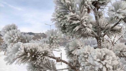 Ardahan’da dondurucu soğuklar etkili oldu