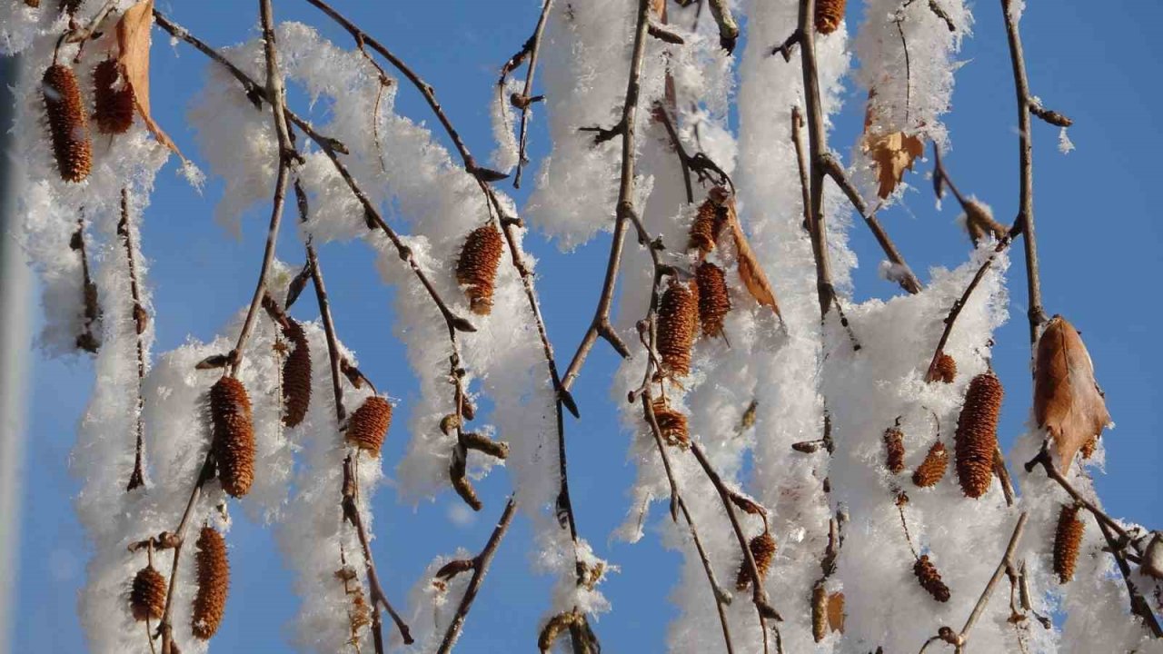 Ardahan’da Sibirya soğukları devam ediyor