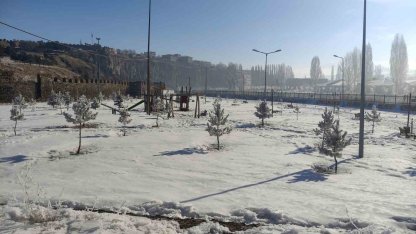 Ardahan’da Sibirya soğukları etkisini sürdürüyor