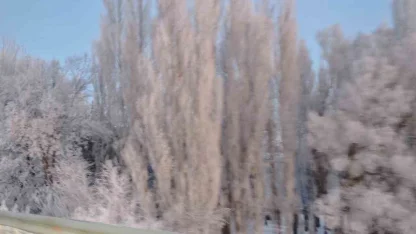 Aşkale’de Sibirya soğukları: Termometreler -30’u gösterdi