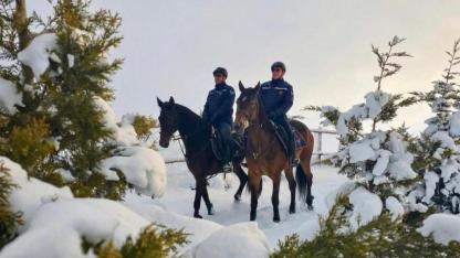 Atlı jandarmalar sahada aktif rol üstleniyor