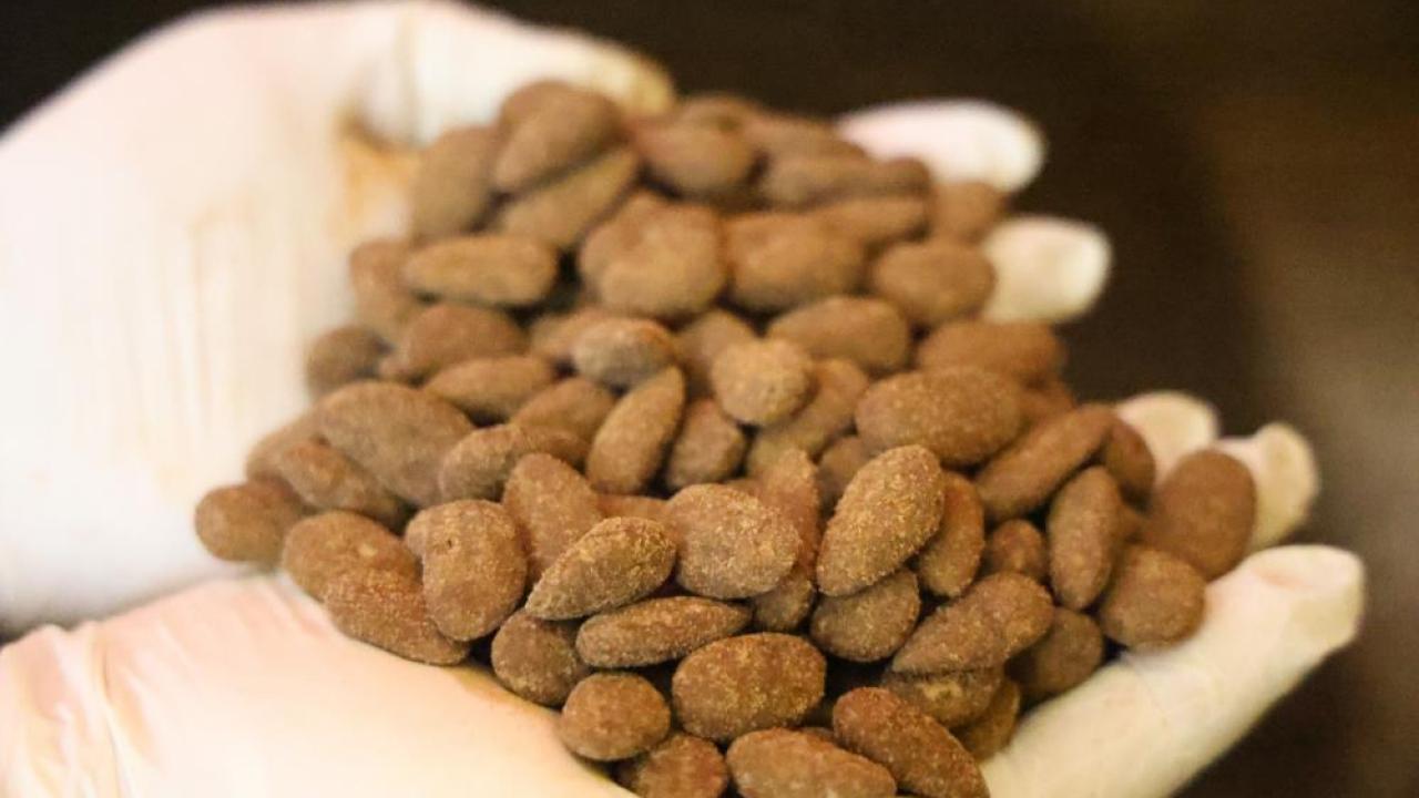 Badem şekerine Türk kahvesi dokunuşu