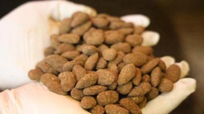 Badem şekerine Türk kahvesi dokunuşu