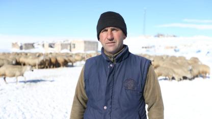 "Başaramazsın" diyenlere inat, koyun sürüsünü 6 kat büyüttü