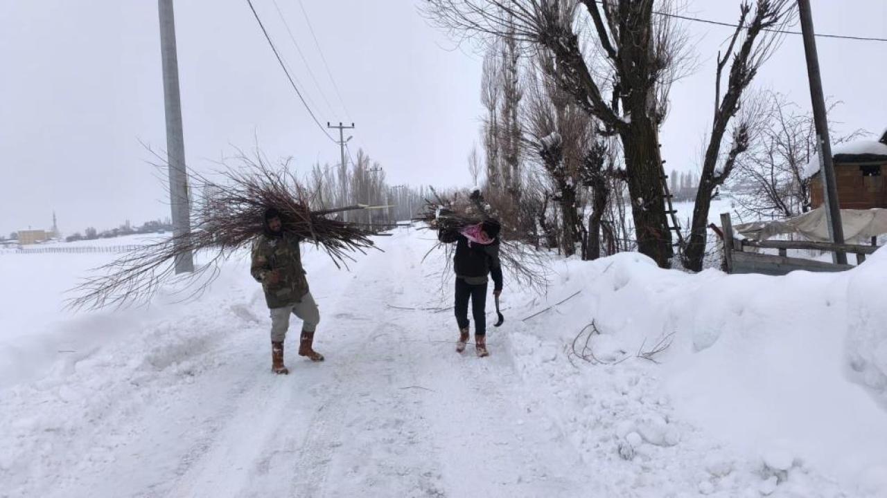 Besiciler söğüt dallarıyla yem masrafını azaltıyor