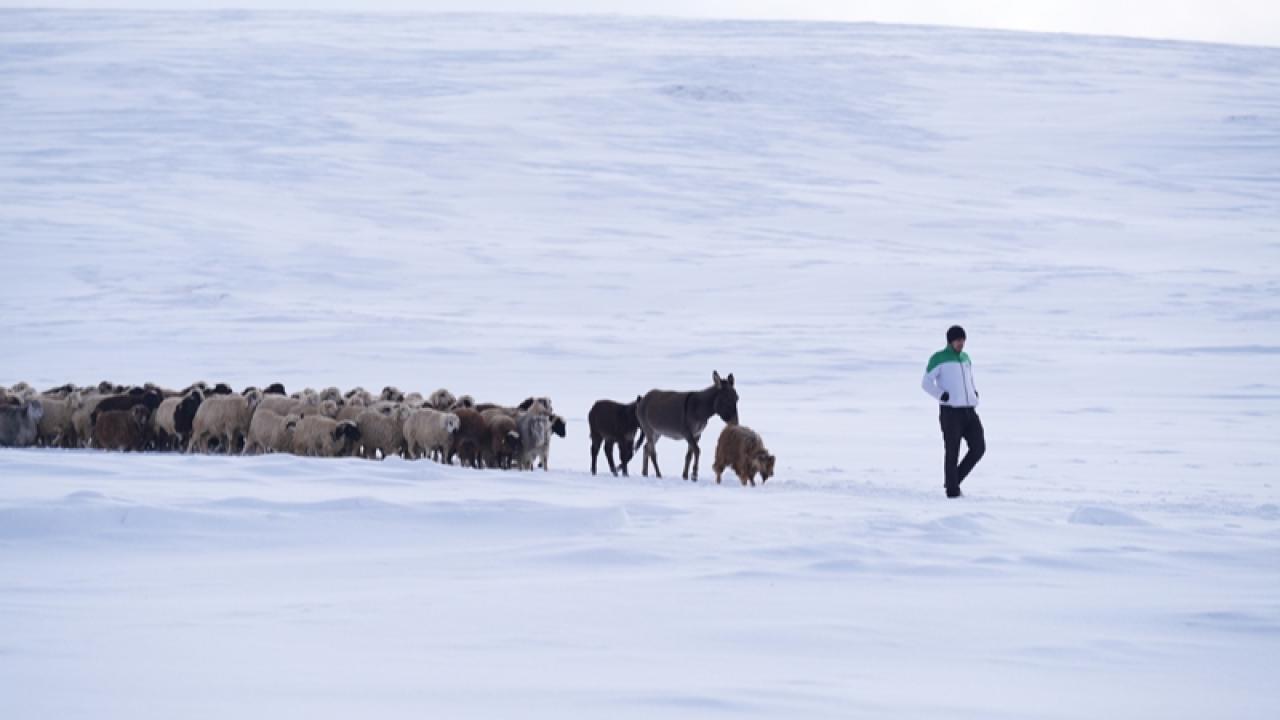 Besicilerin zorlu kış mesaisi