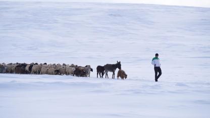 Besicilerin zorlu kış mesaisi
