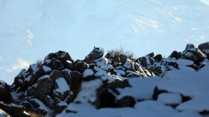 Beyaza bürünen lav kayaları dronla görüntülendi