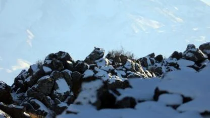 Beyaza bürünen lav kayaları dronla görüntülendi