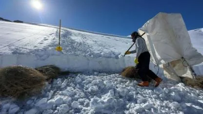 Çiftçilerin zorlu kış mesaisi sürüyor
