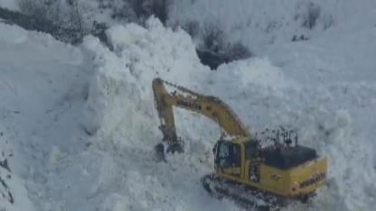 Çığ köy yolunu kapattı