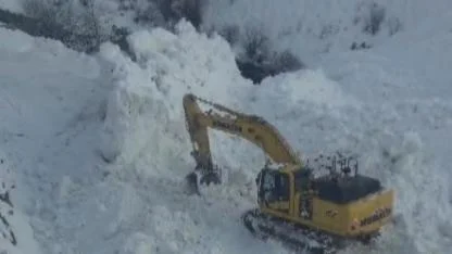 Çığ köy yolunu kapattı
