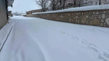 Diyadin’de yoğun kar yağışı hayatı olumsuz etkiliyor