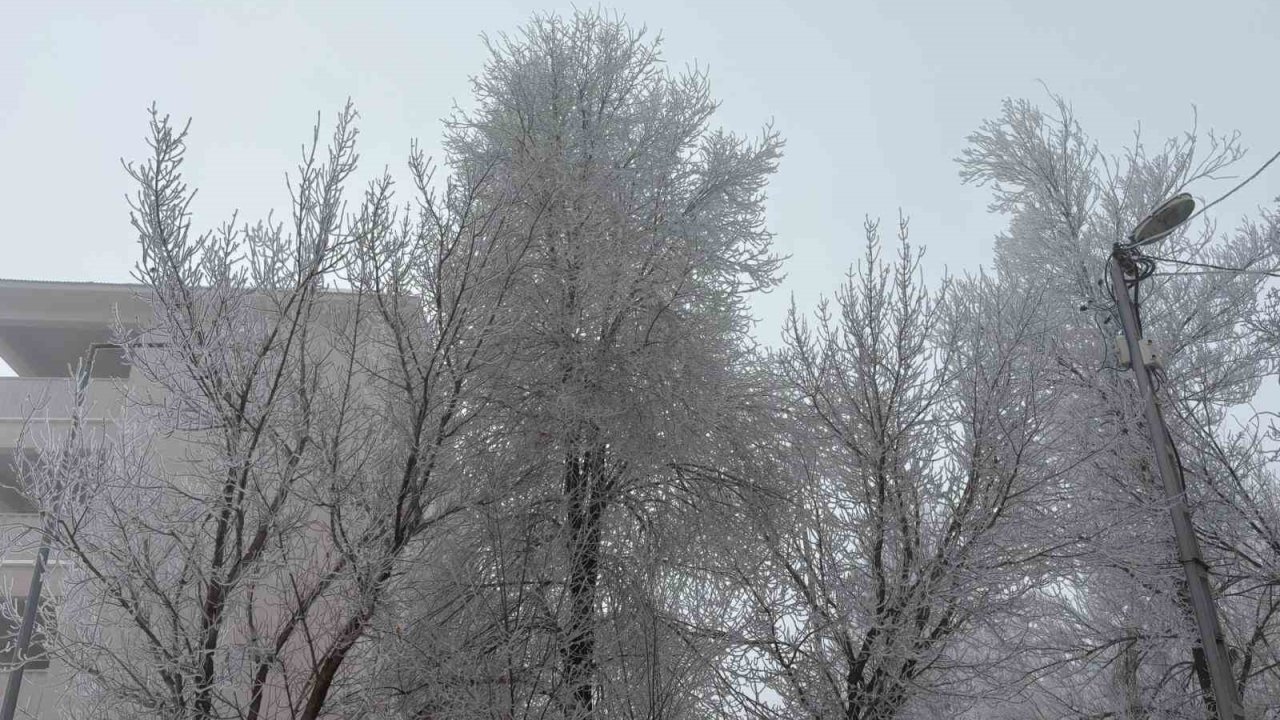 Diyadin’de yoğun sis etkili oldu