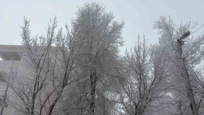Diyadin’de yoğun sis etkili oldu