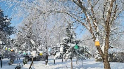 Dondurucu soğuklar hayatı olumsuz etkiledi