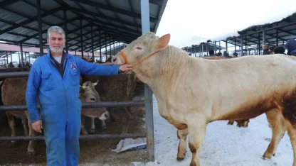 Eksi 15’de hayvan pazarı kuruldu