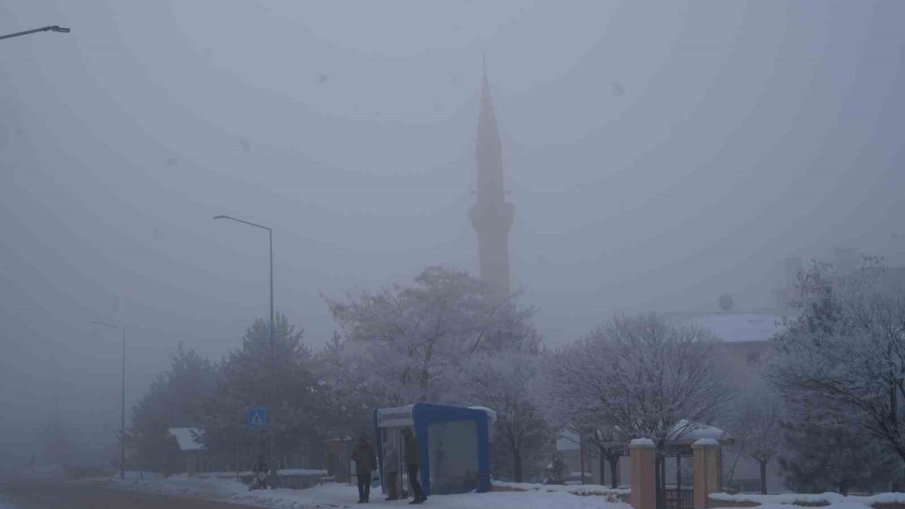 Erzurum’da sis ulaşımı aksattı