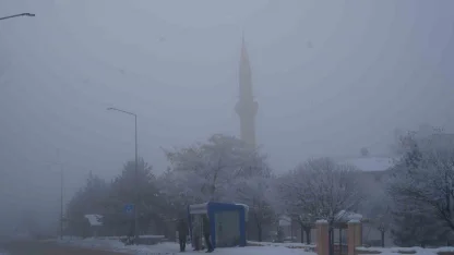 Erzurum’da sis ulaşımı aksattı