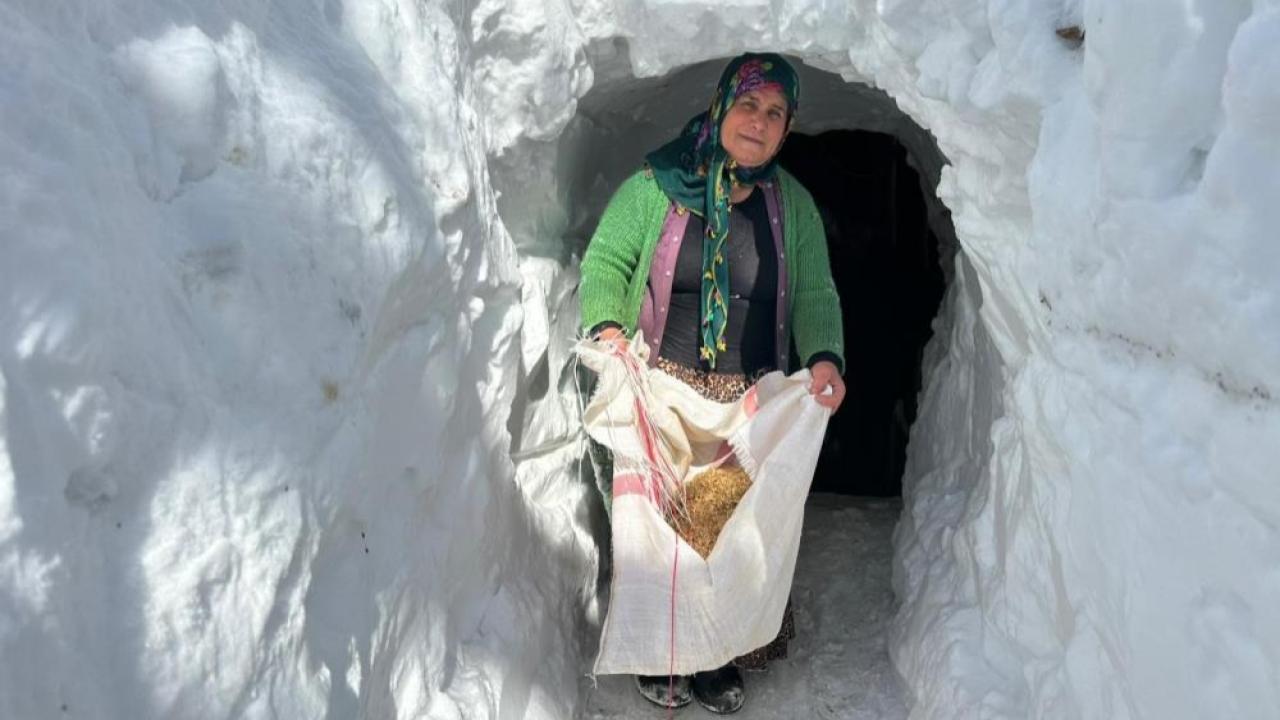 Ev ve ahırlara kardan tünellerle ulaşım