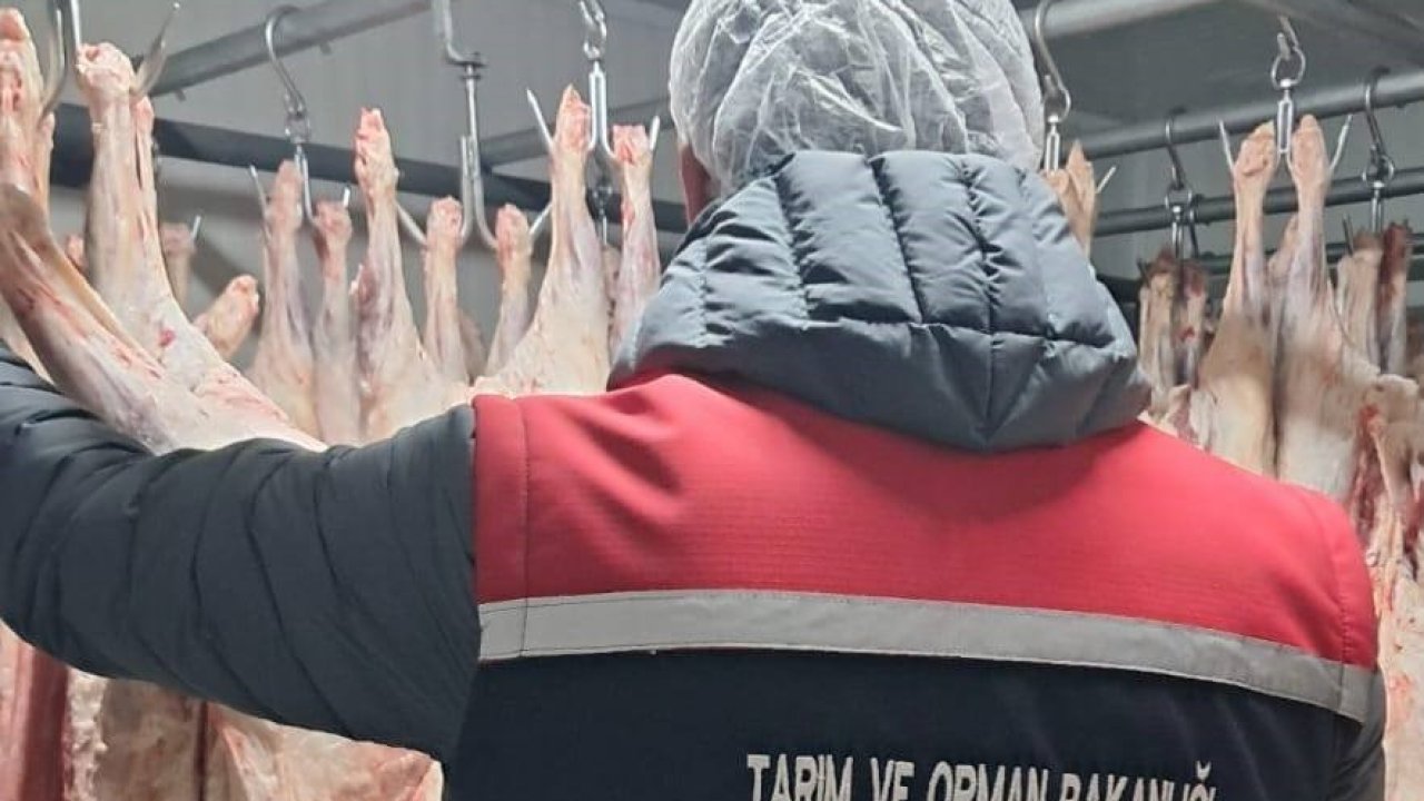 Gıda satışı yapan işletmeler denetlendi