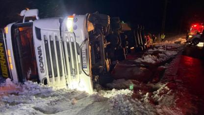 Hayvan yüklü tır şarampole devrildi