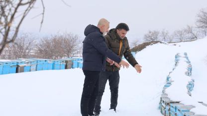 Kar yağışı arıcıya umut oldu: Koloni kayıpları minimuma indi